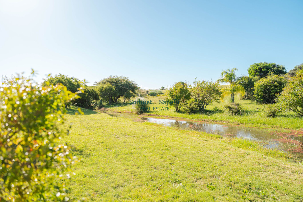 Chacra en venta Punta del Este, Lomas de San Vicente