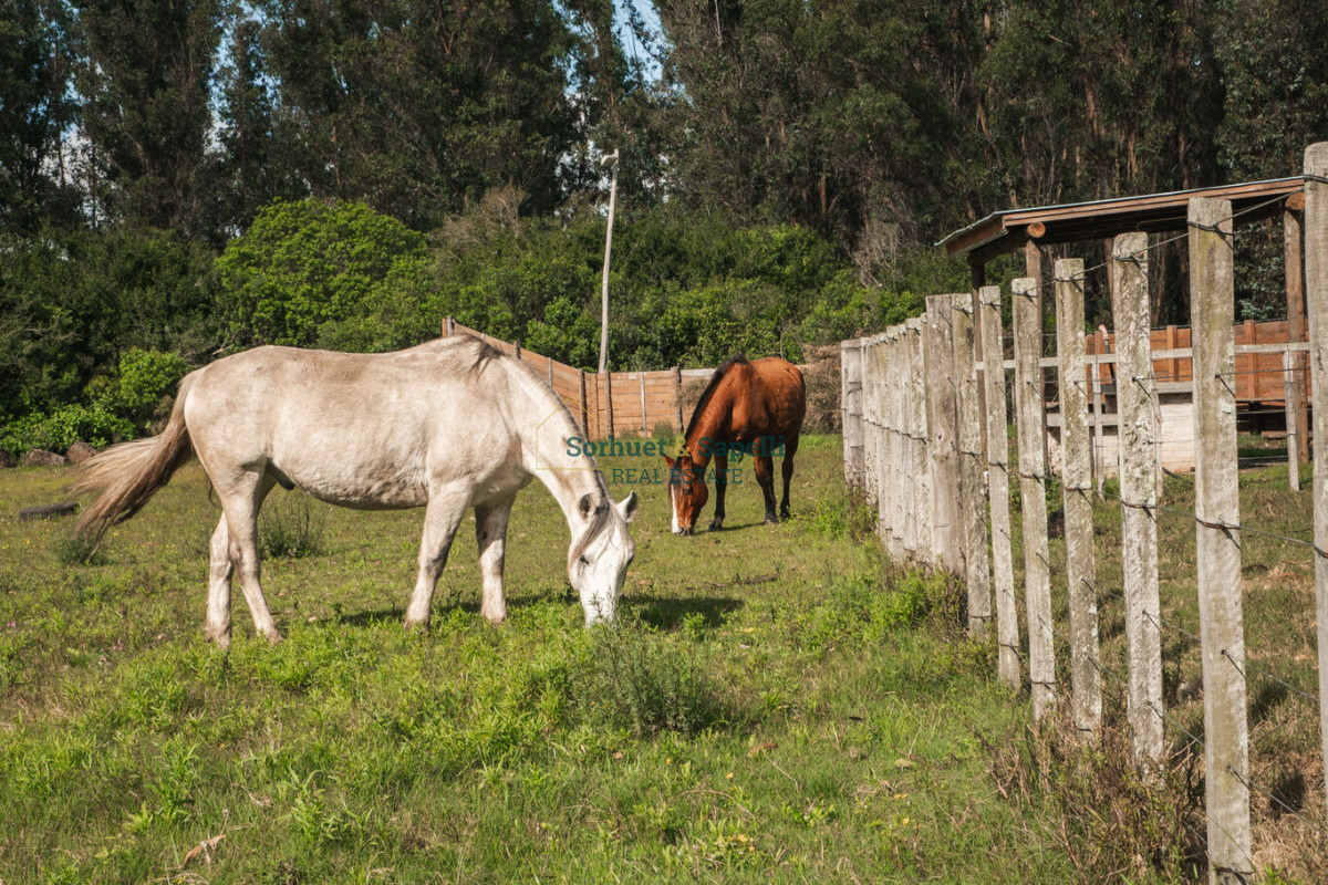 Chacra en venta enfrente al Mar 