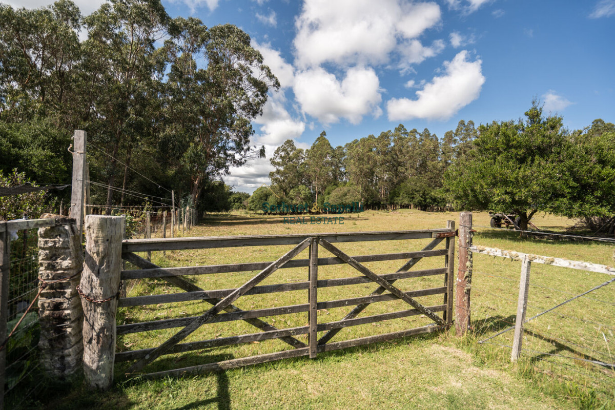 Farm for Sale in Maldonado