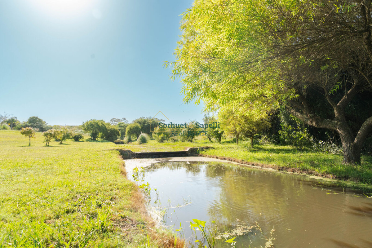 Chacra en venta Punta del Este, Lomas de San Vicente