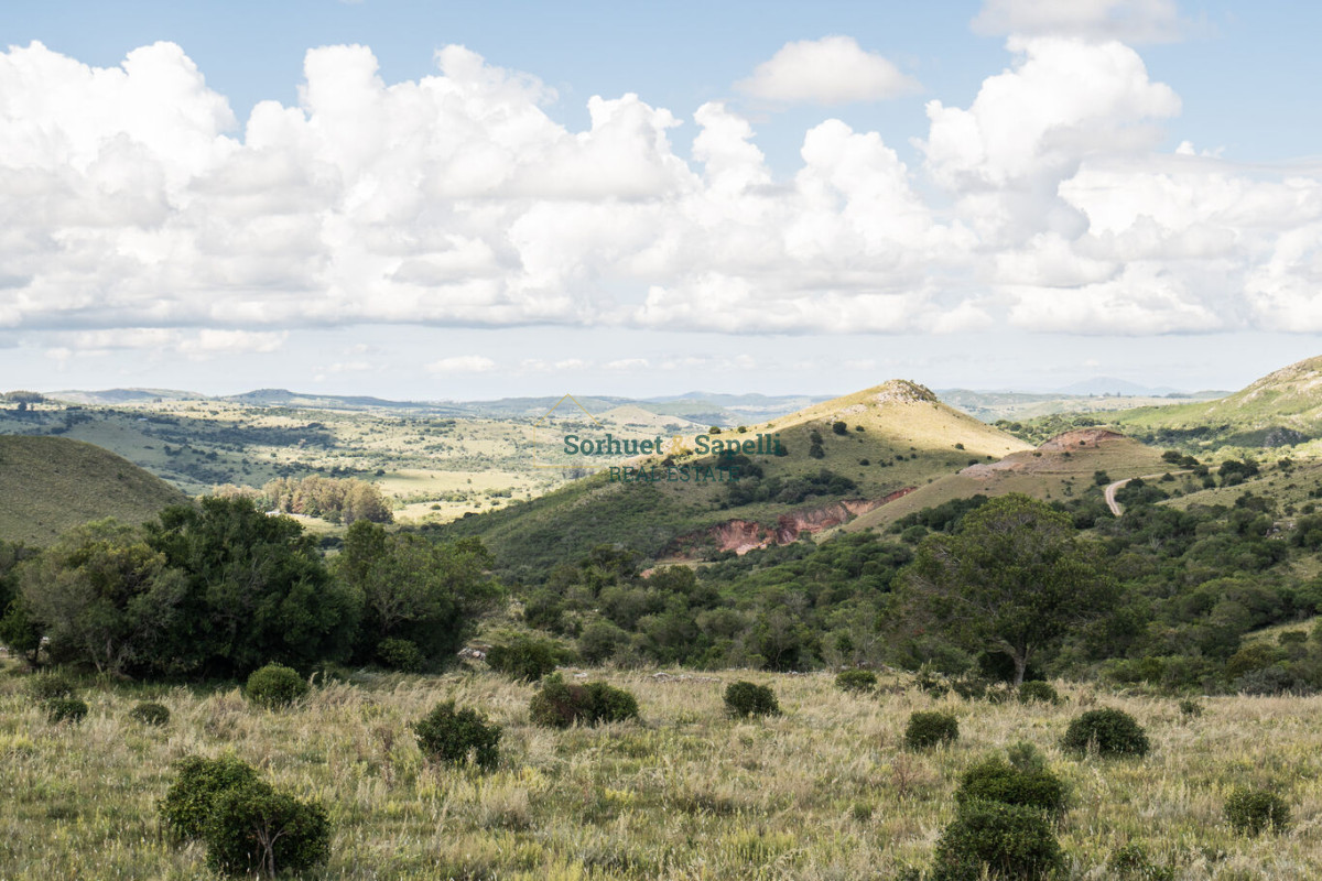 Farm for Sale in Maldonado