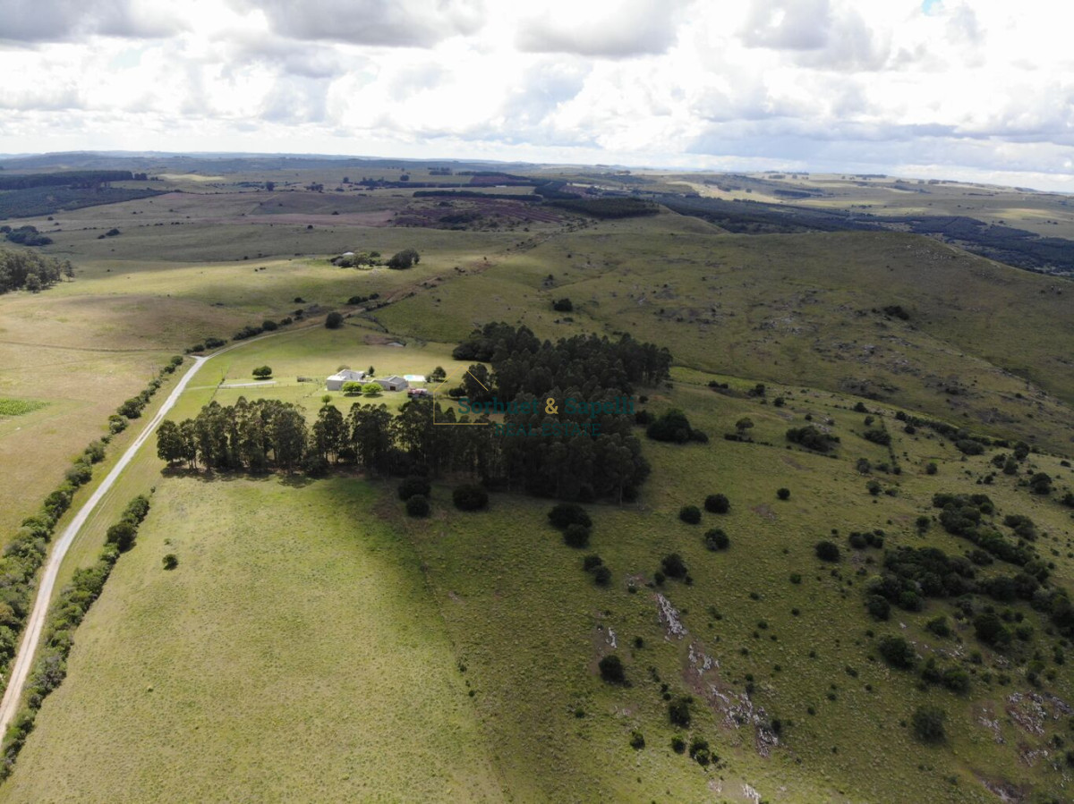 Farm for Sale in Maldonado