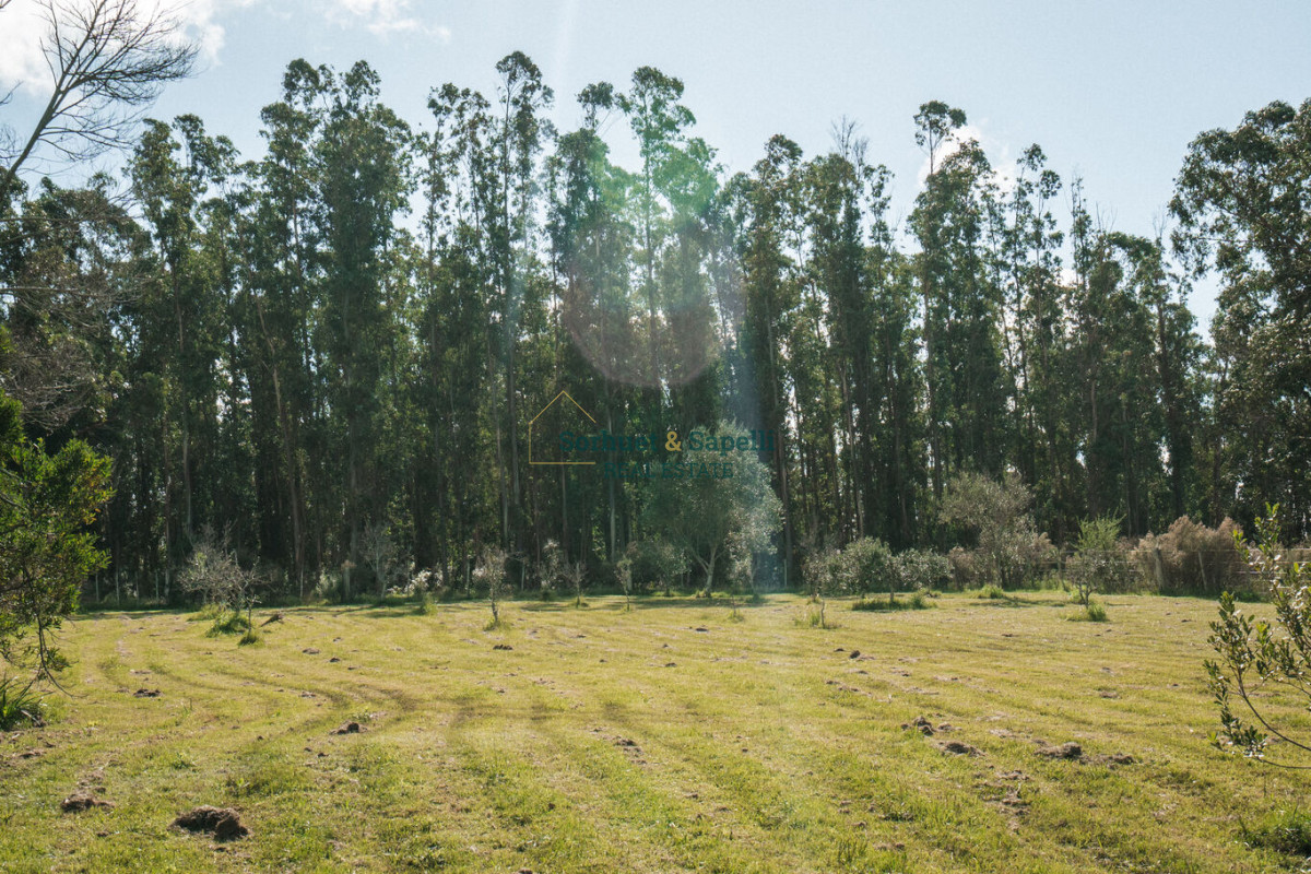 Chacra en venta enfrente al Mar 