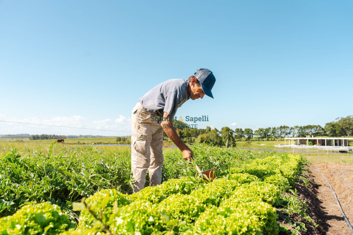 Chacra en venta Punta del Este, Lomas de San Vicente
