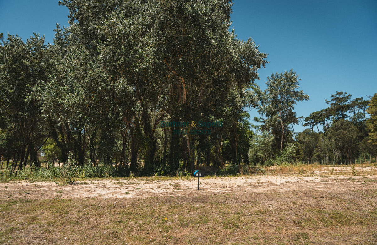 Espectacular Terreno en Venta en Distrito 52