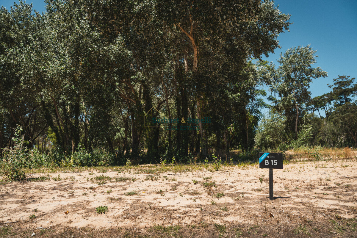 Espectacular Terreno en Venta en Distrito 52