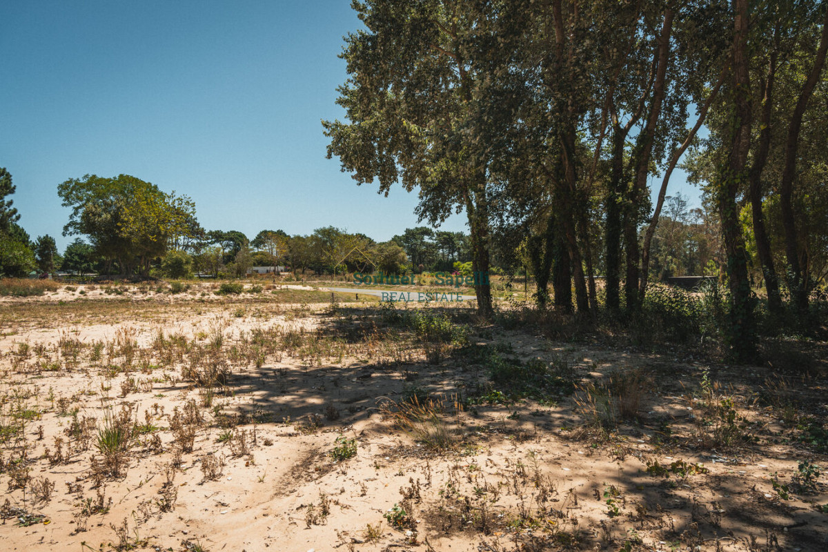 Espectacular Terreno en Venta en Distrito 52