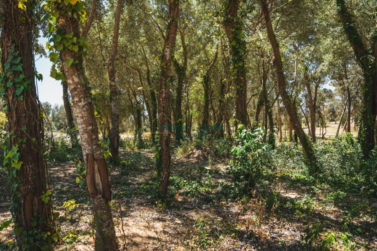 Espectacular Terreno en Venta en Distrito 52