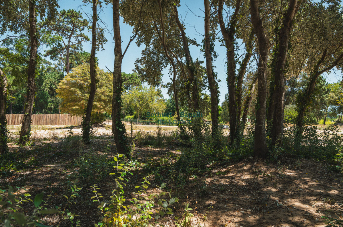 Espectacular Terreno en Venta en Distrito 52