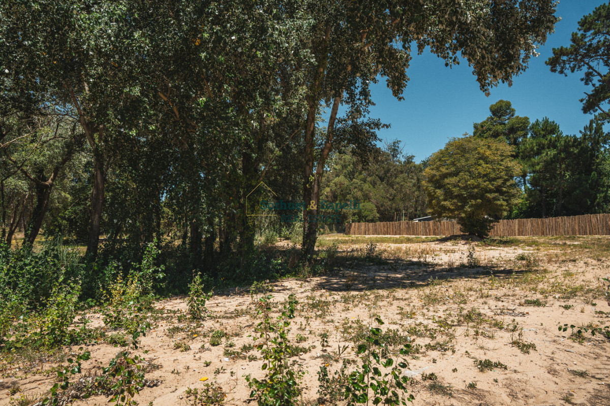 Espectacular Terreno en Venta en Distrito 52