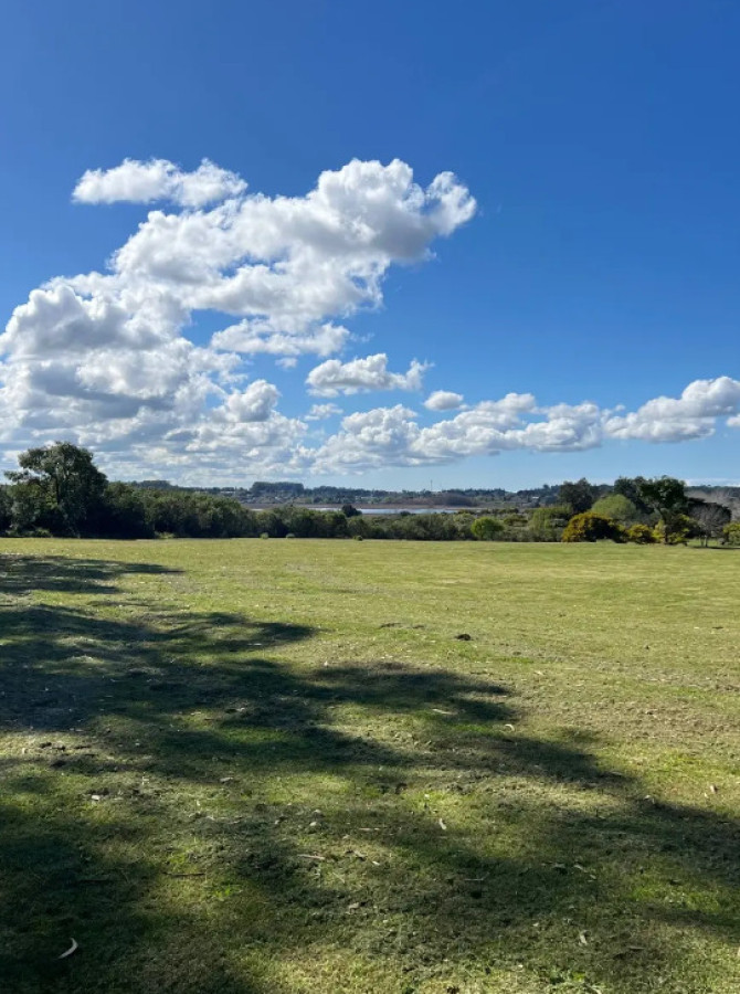 Lotes en punta ballena 