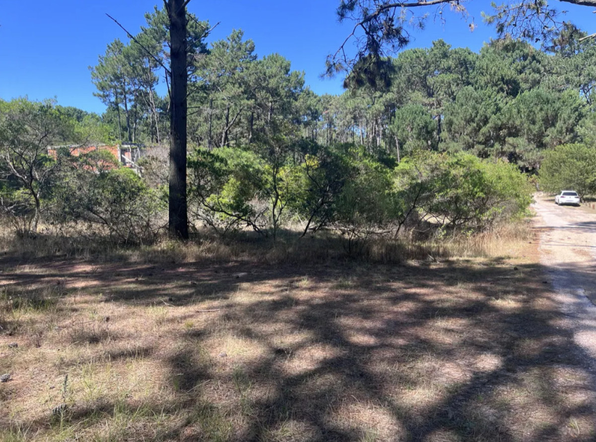 Terreno a pasos de la laguna del sauce 