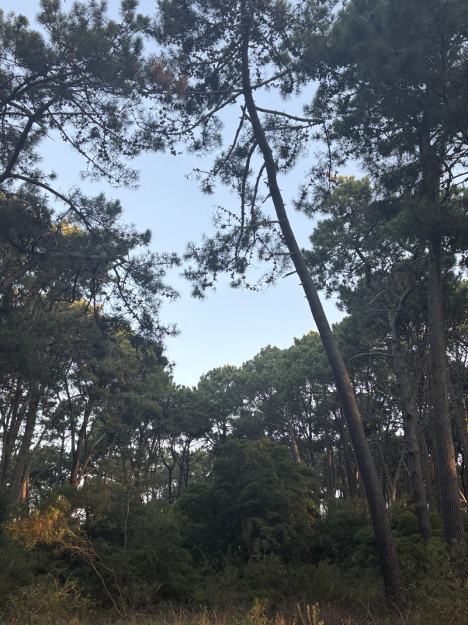 Terreno apto para desarrollo en playa brava 