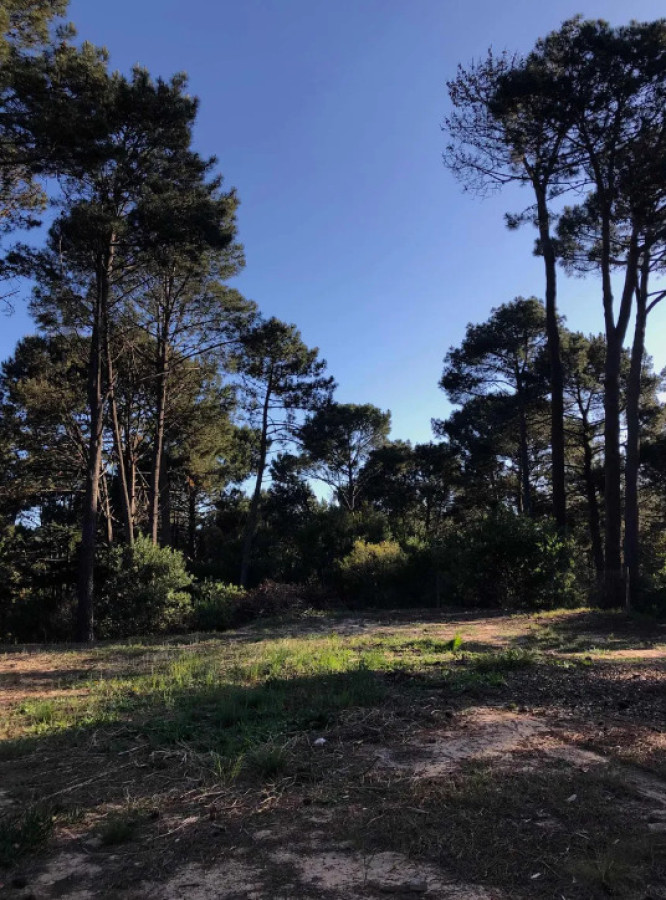 Terreno en club del lago 