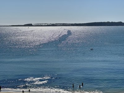 Apartamento Codigo #PRIMERA LINEA MANSA - ESPECTACULAR PLANTA