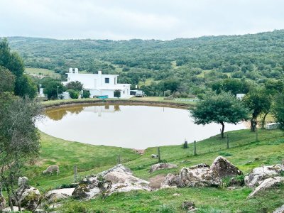 Campo de 254 hectáreas con residencia contemporánea en Maldonado