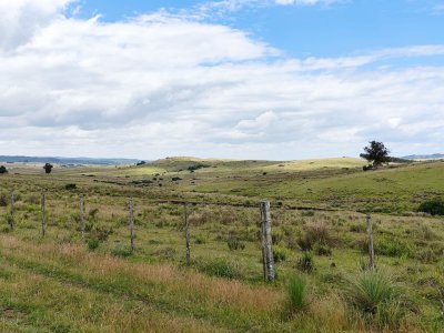 295 Hectáreas Campo Forestal Ganadero Oportunidad de inversión en una zona de alto potencial