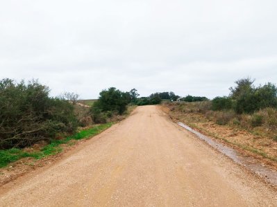 72 hectáreas en Rocha | Tierra productiva con doble potencial
