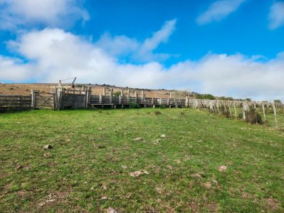 Campo ganadero en Maldonado, 300 hectáreas, inversión en tierra