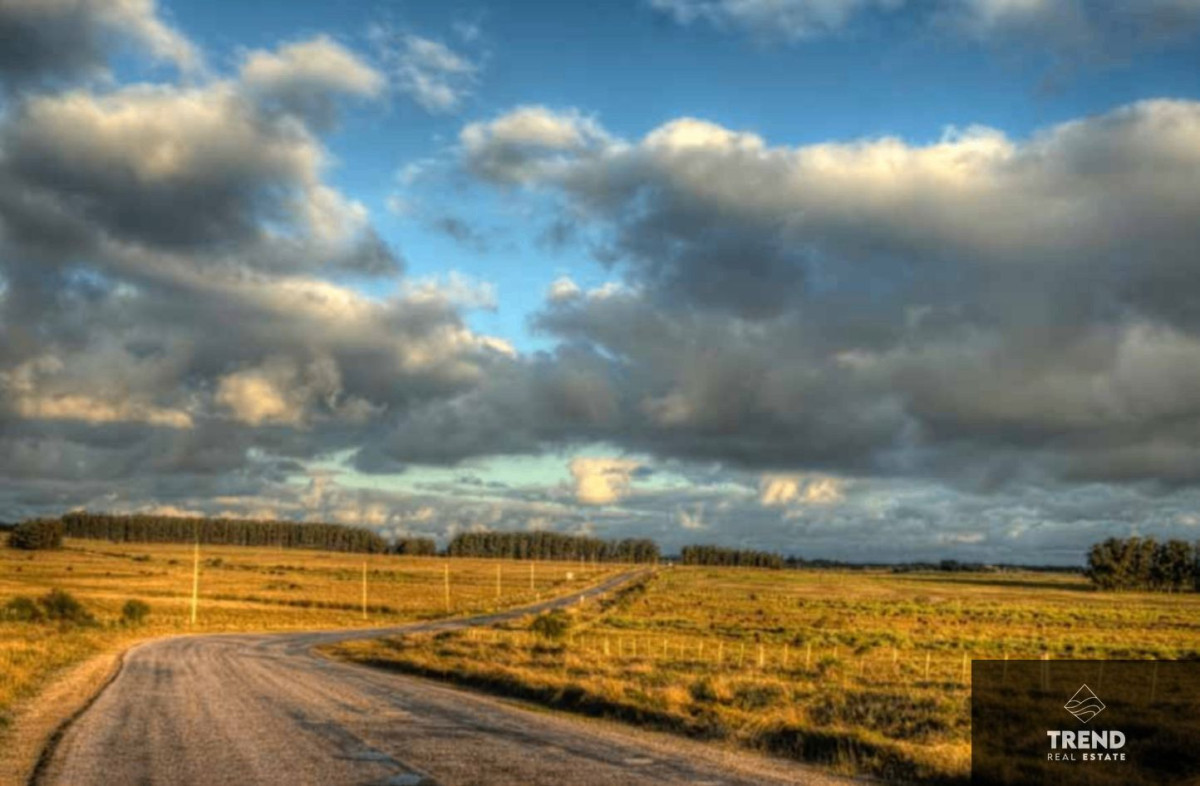 Campo en venta de 33ha cerca de José Ignacio