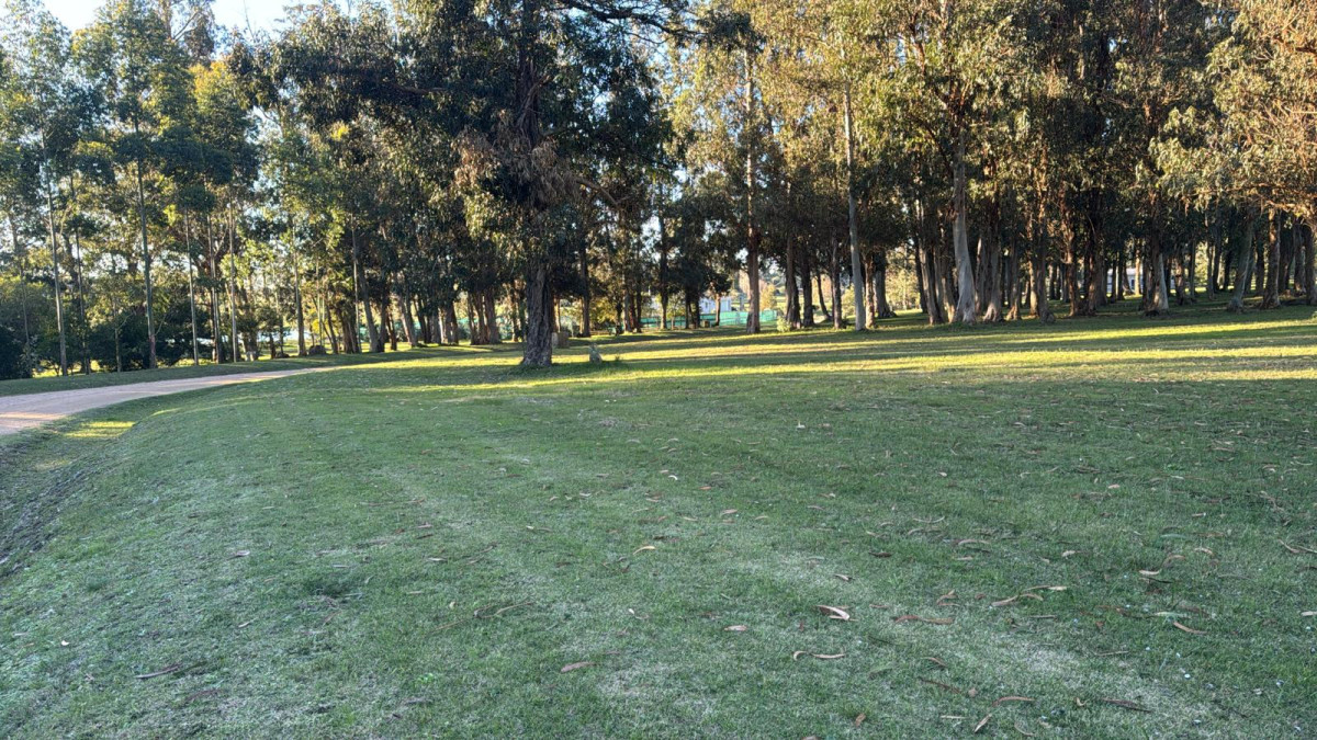 Terreno en venta en El quijote - 5000 metros