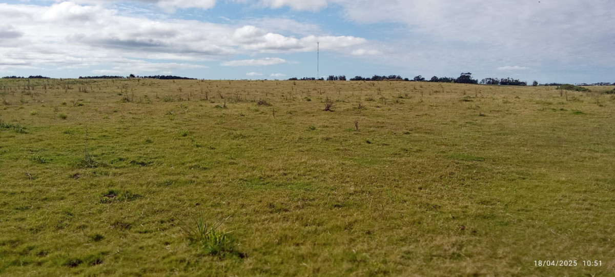 Imagen de Fracción de campo en venta | Garzón, Maldonado