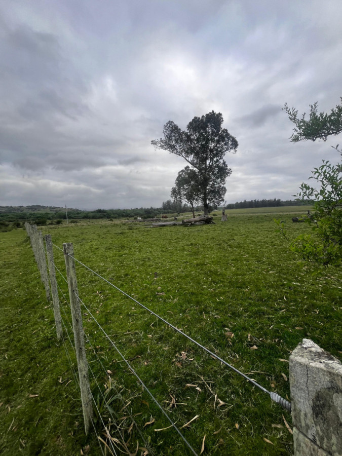 Imagen de Campo en aiguá