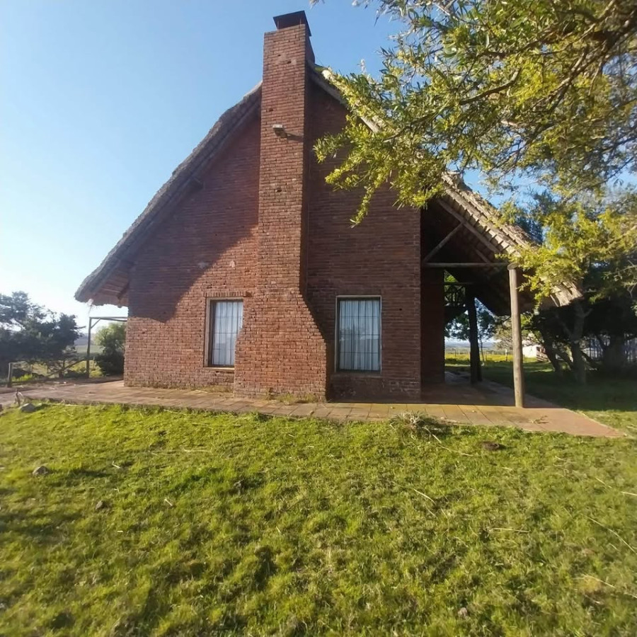 Imagen de Campo en Paso Dutra