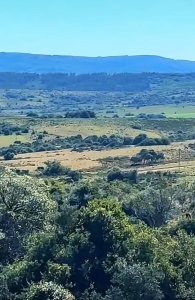 Campo 52 Hectáreas en Garzón