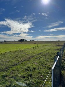 Chacra en José Ignacio 