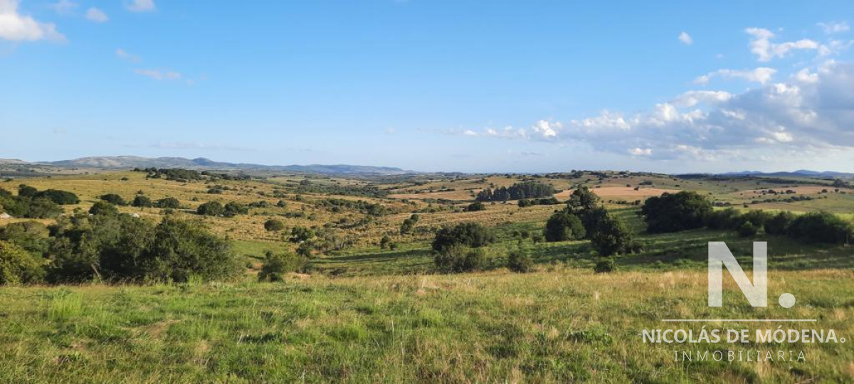 5 Hectareas sobre ruta 39 - GoPunta - Portal Inmobiliario de Punta del Este - Maldonado
