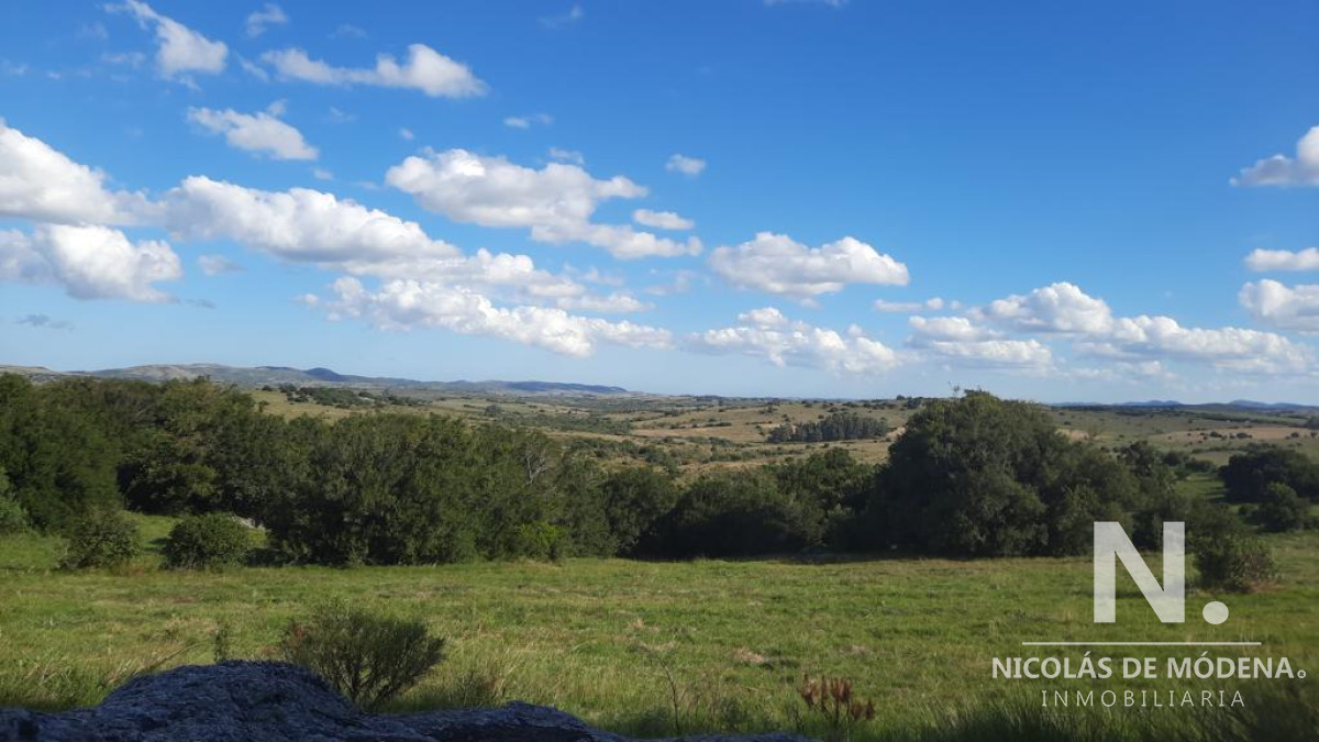 5 Hectareas sobre ruta 39 - GoPunta - Portal Inmobiliario de Punta del Este - Maldonado