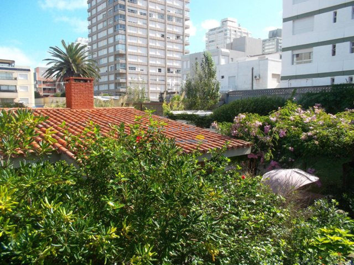 Peninsula - GoPunta - Portal Inmobiliario de Punta del Este - Maldonado