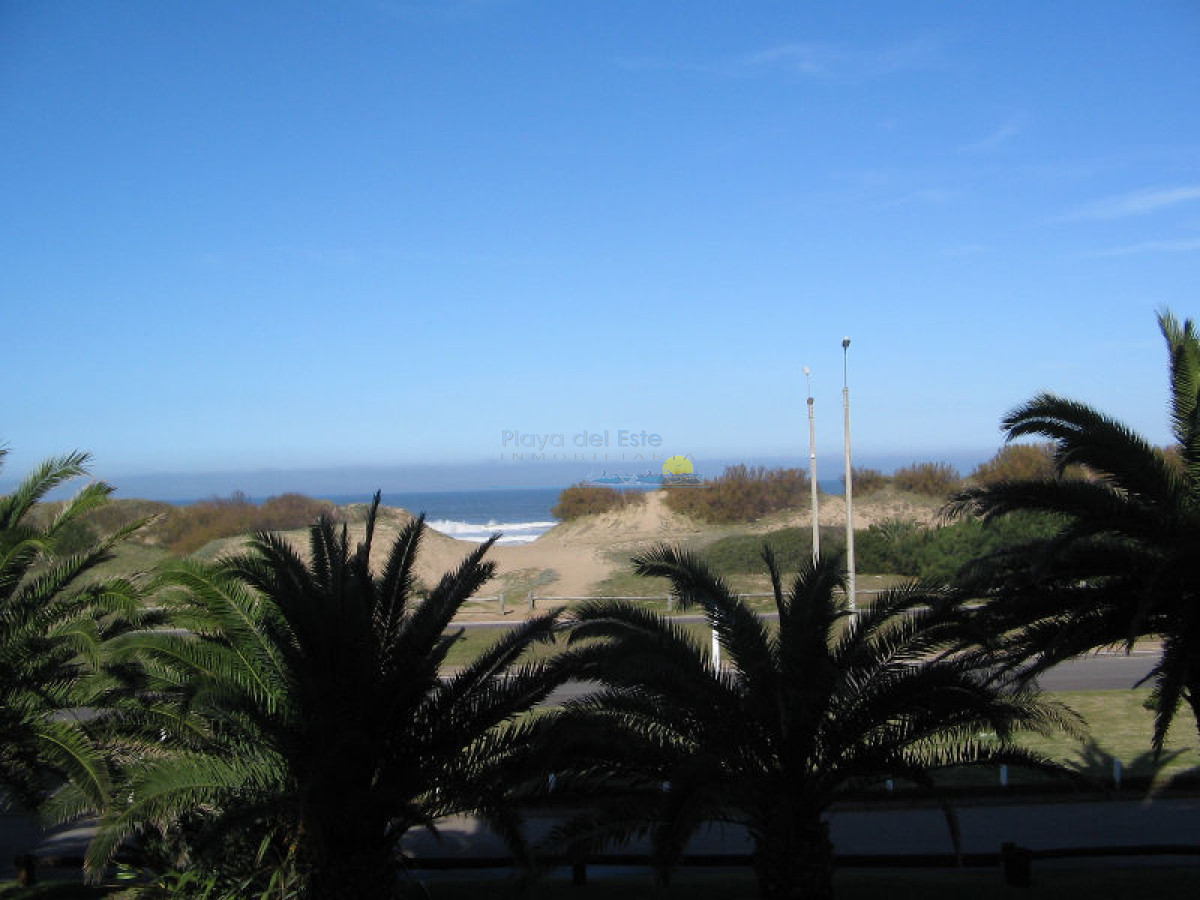 Brava - GoPunta - Portal Inmobiliario de Punta del Este - Maldonado