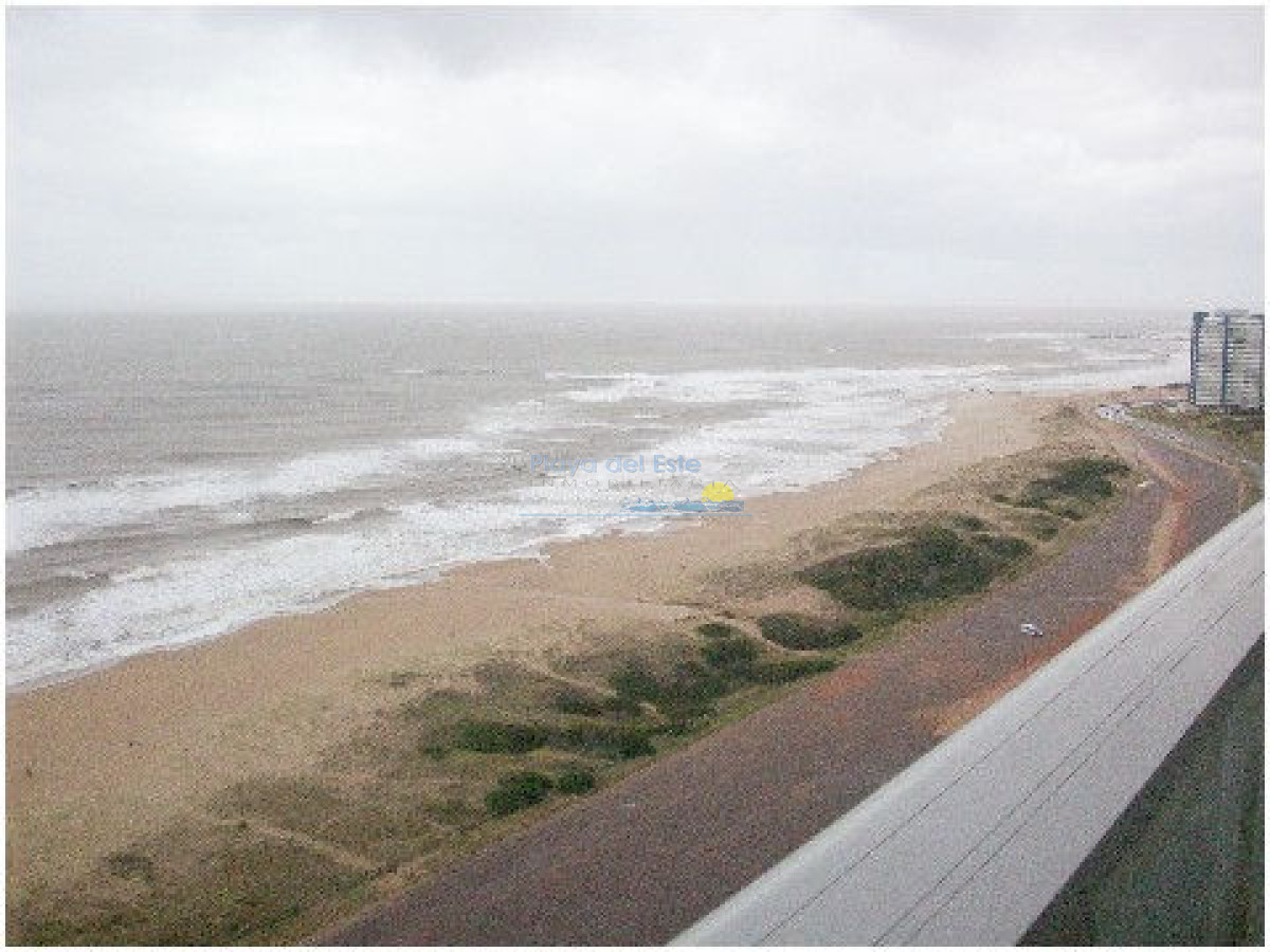 Brava - GoPunta - Portal Inmobiliario de Punta del Este - Maldonado