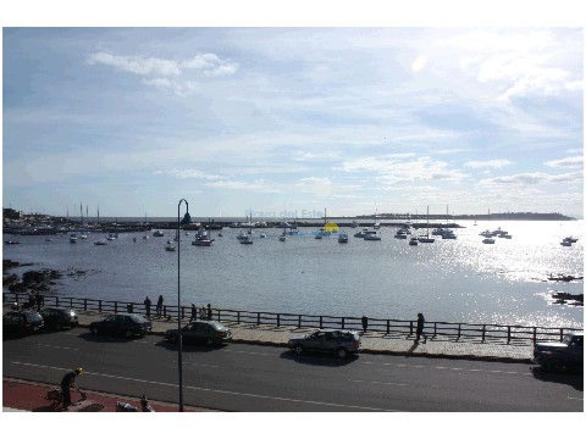 Peninsula - GoPunta - Portal Inmobiliario de Punta del Este - Maldonado
