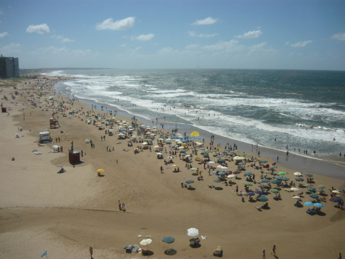 Peninsula - GoPunta - Portal Inmobiliario de Punta del Este - Maldonado