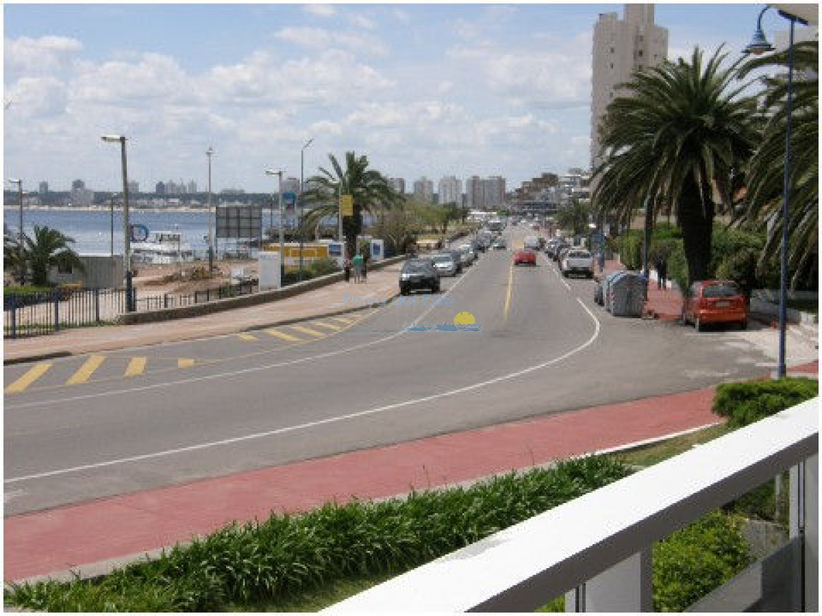 Peninsula - GoPunta - Portal Inmobiliario de Punta del Este - Maldonado