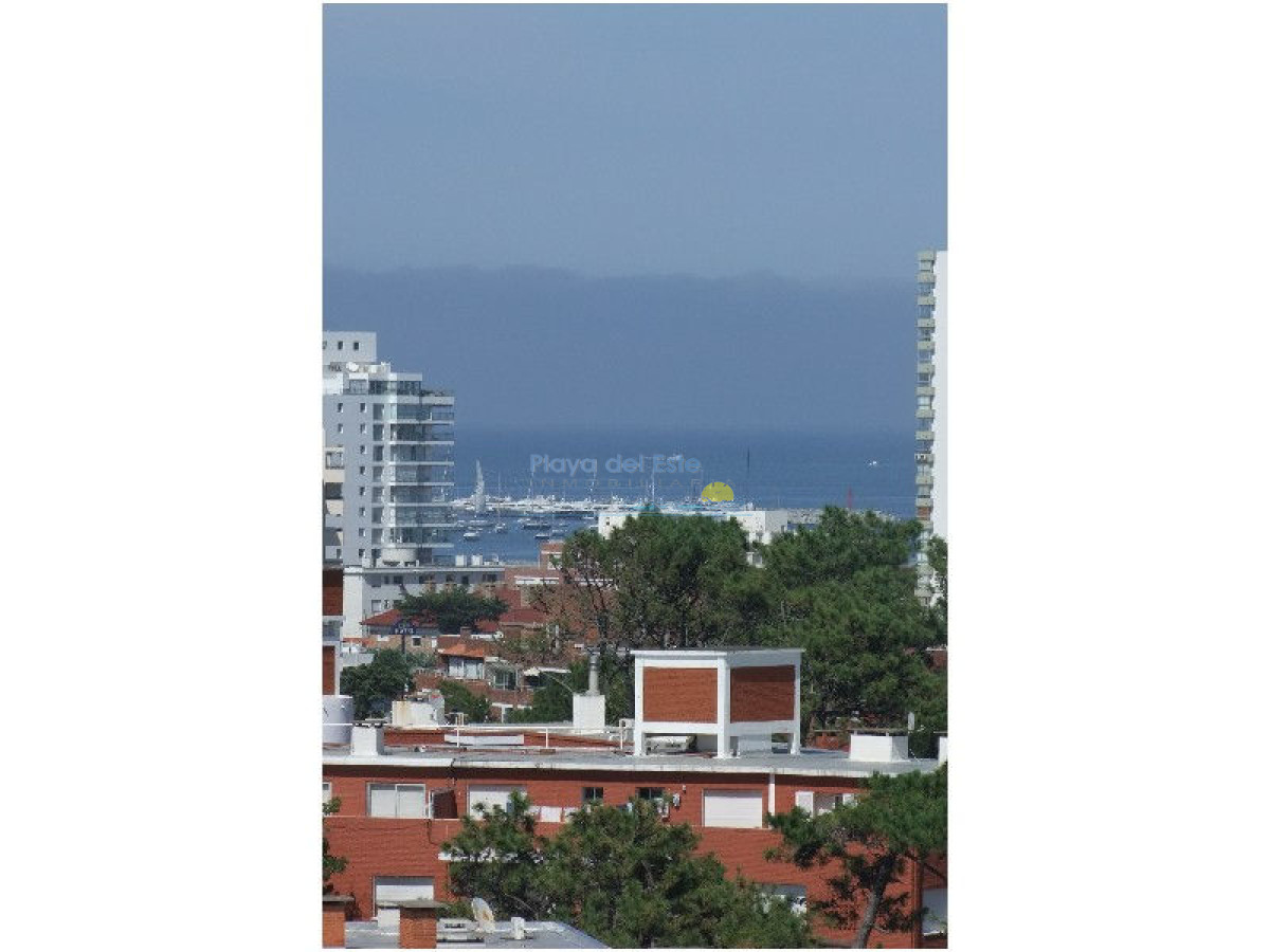 Aidy Grill - GoPunta - Portal Inmobiliario de Punta del Este - Maldonado