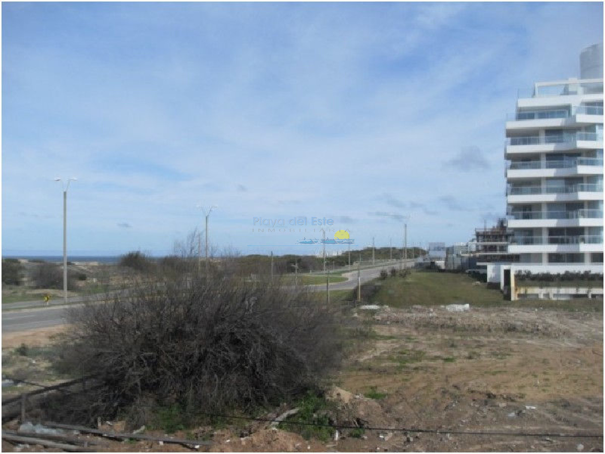 Brava - GoPunta - Portal Inmobiliario de Punta del Este - Maldonado