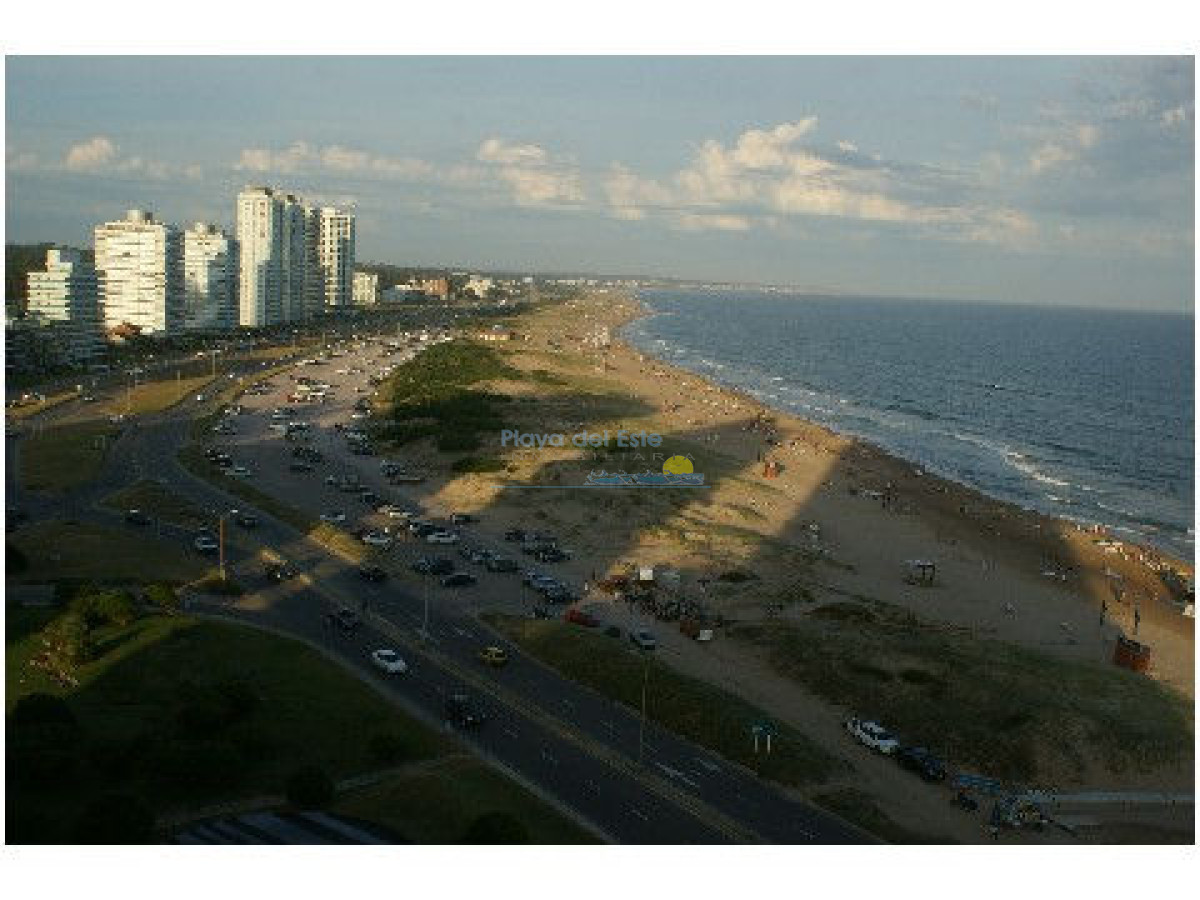 Brava - GoPunta - Portal Inmobiliario de Punta del Este - Maldonado