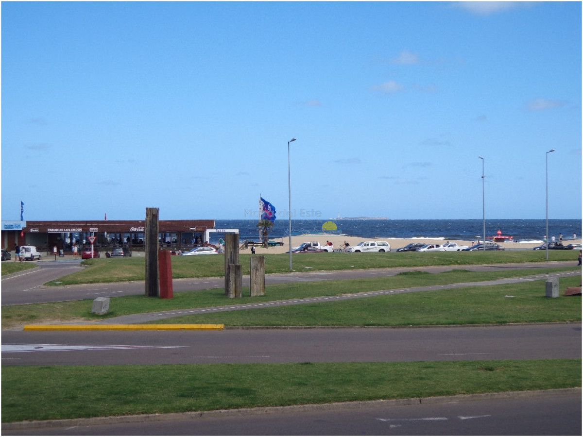 Brava - GoPunta - Portal Inmobiliario de Punta del Este - Maldonado