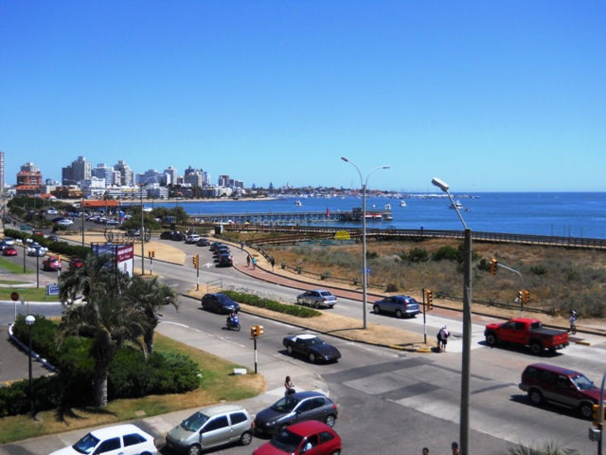 Mansa - GoPunta - Portal Inmobiliario de Punta del Este - Maldonado