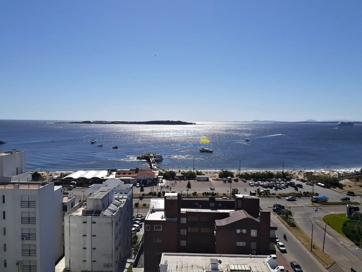 Mansa - GoPunta - Portal Inmobiliario de Punta del Este - Maldonado
