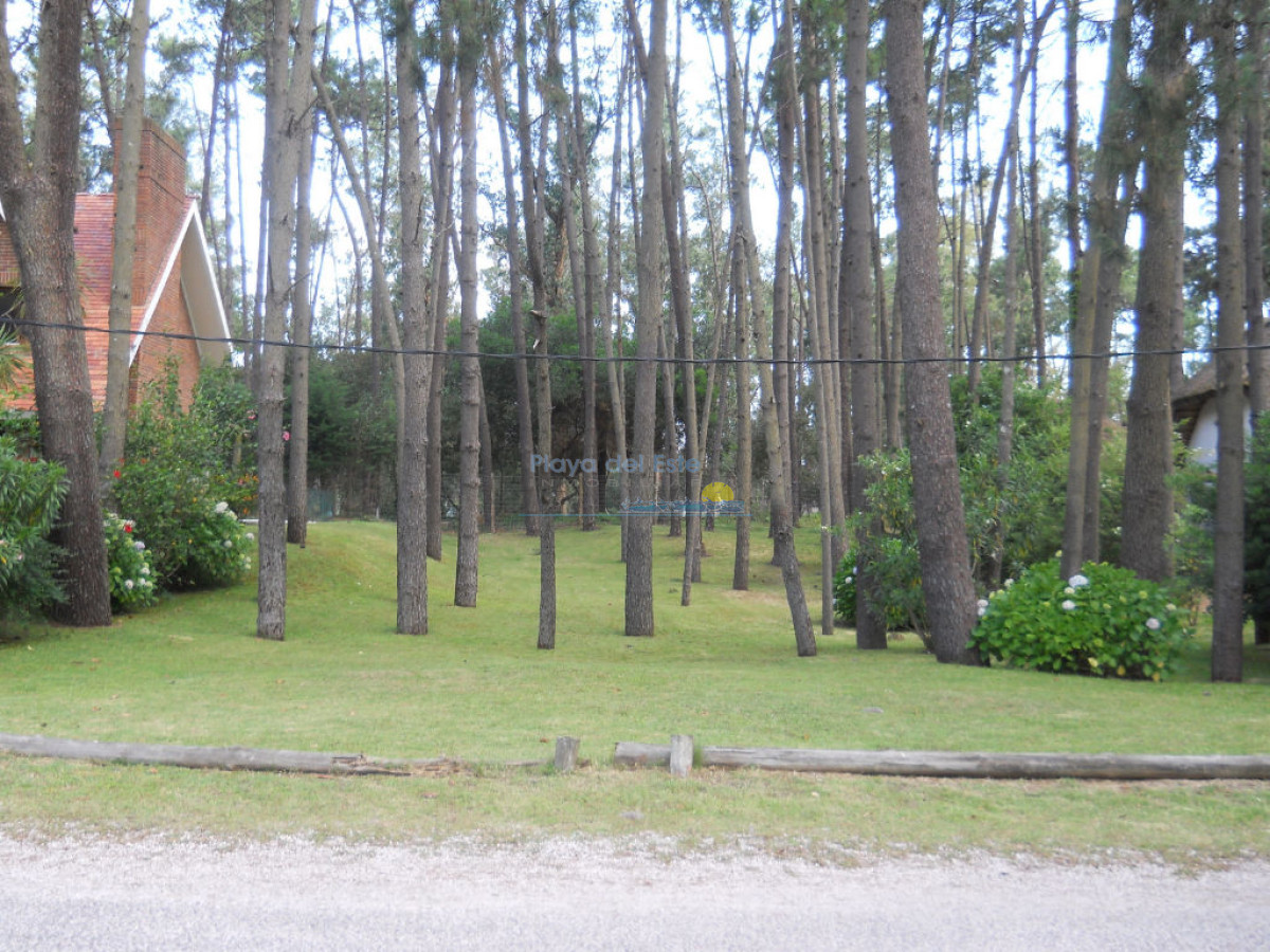 Pinares - GoPunta - Portal Inmobiliario de Punta del Este - Maldonado