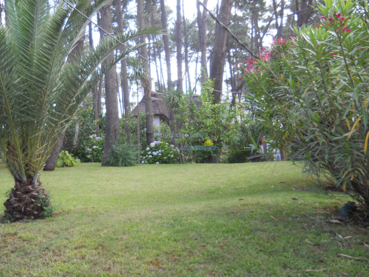 Pinares - GoPunta - Portal Inmobiliario de Punta del Este - Maldonado