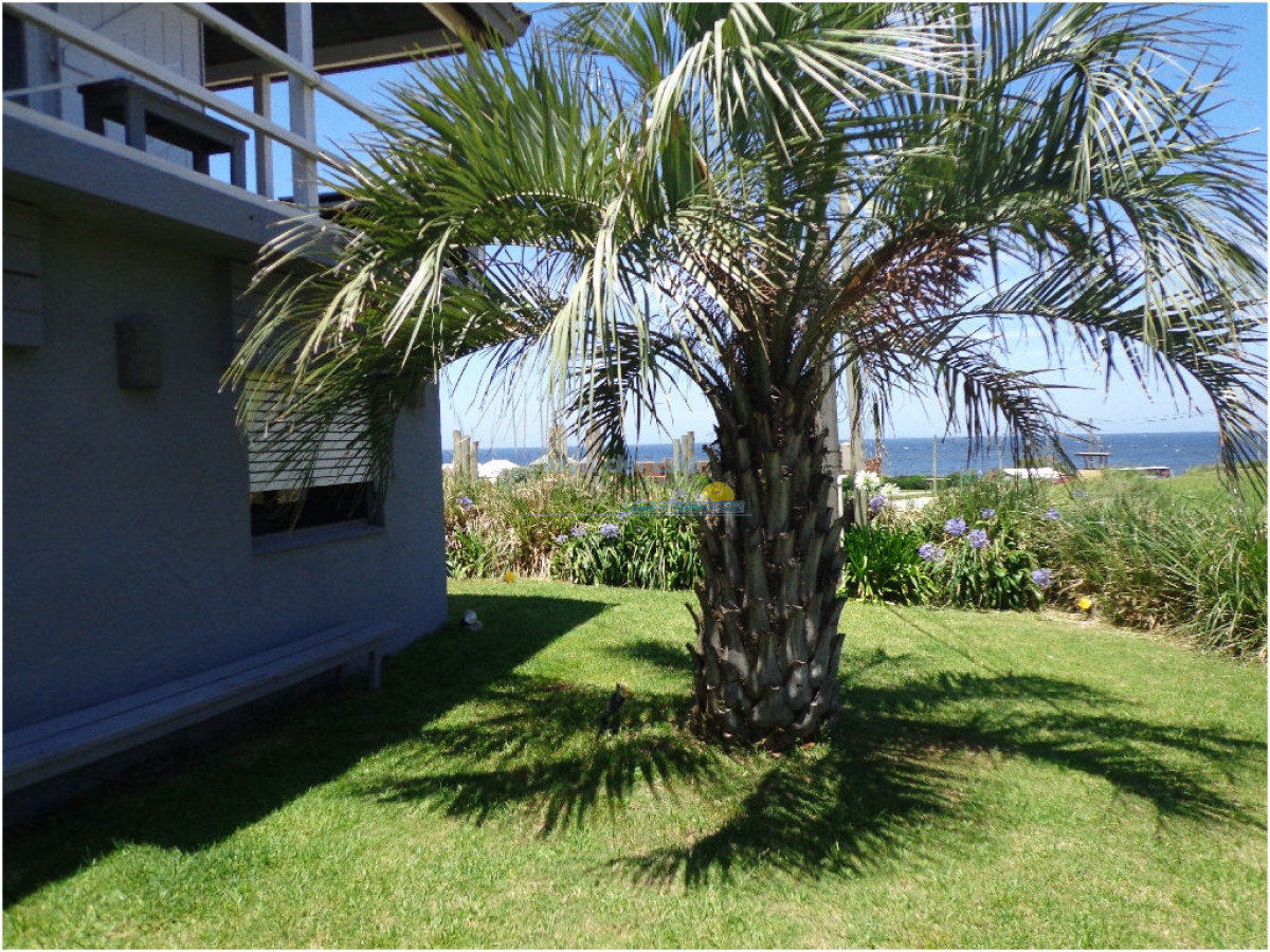 Montoya - GoPunta - Portal Inmobiliario de Punta del Este - Maldonado