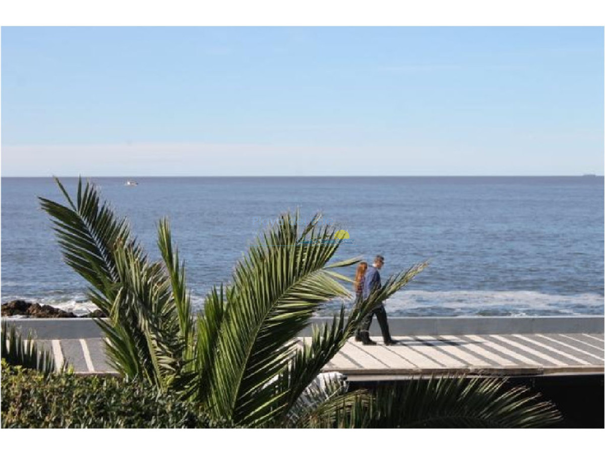 Peninsula - GoPunta - Portal Inmobiliario de Punta del Este - Maldonado