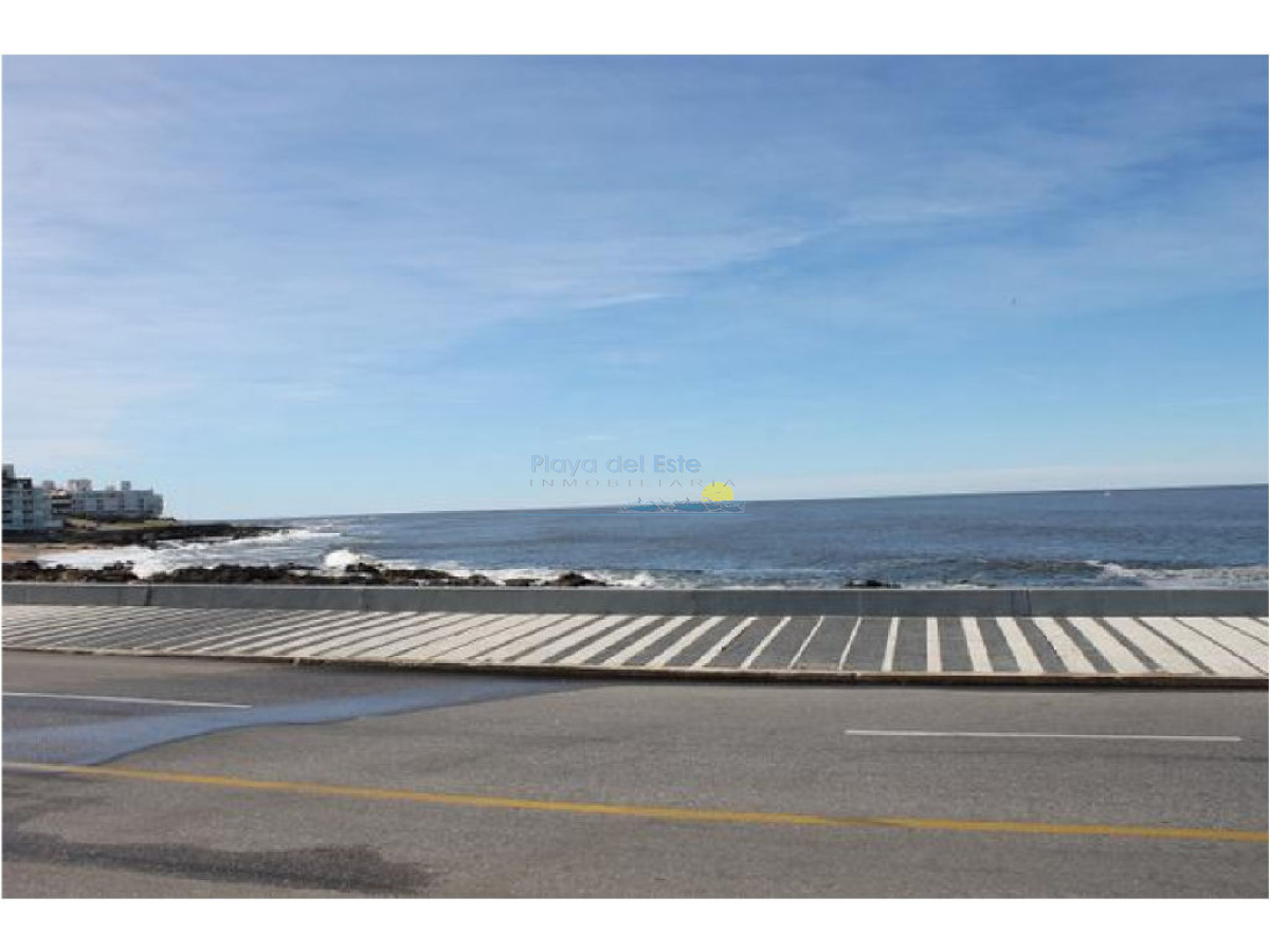 Peninsula - GoPunta - Portal Inmobiliario de Punta del Este - Maldonado