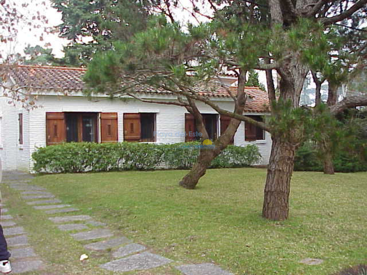 Mansa - GoPunta - Portal Inmobiliario de Punta del Este - Maldonado